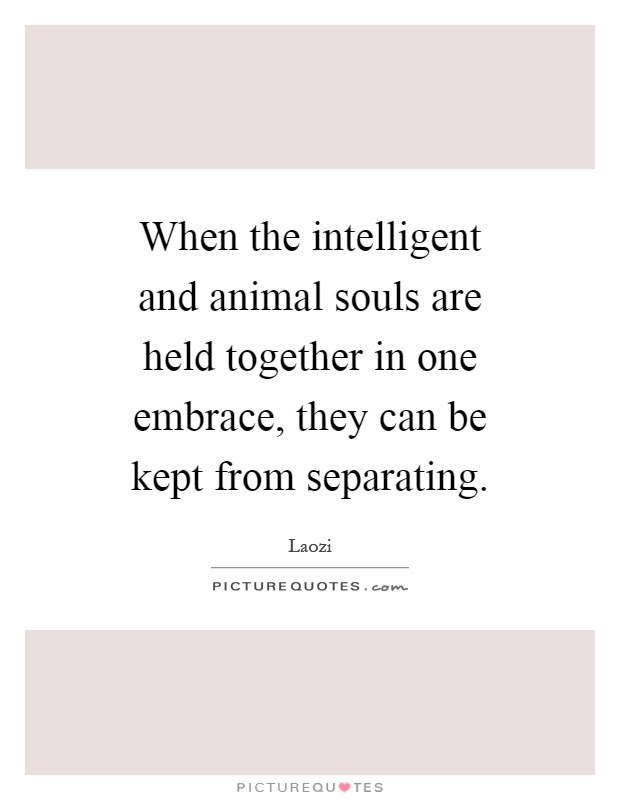 When the intelligent and animal souls are held together in one embrace, they can be kept from separating Picture Quote #1