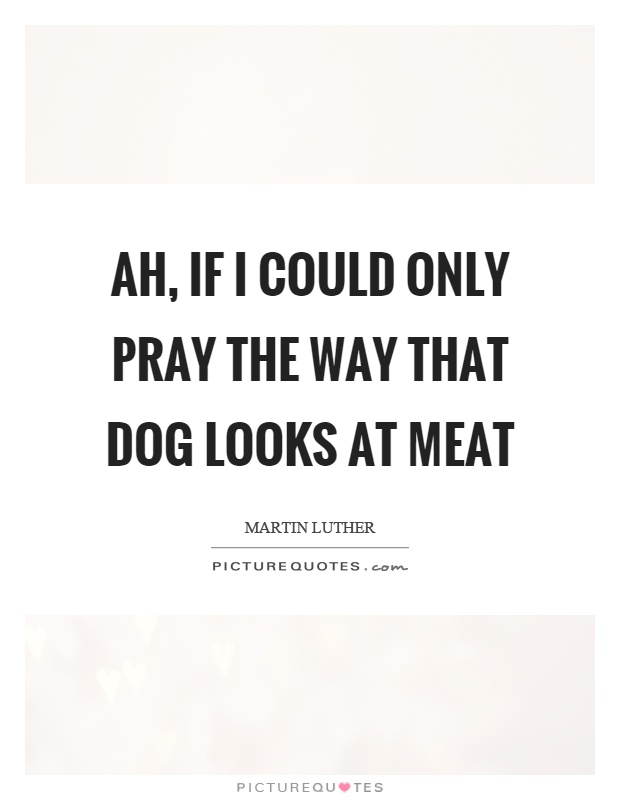 Ah, if I could only pray the way that dog looks at meat Picture Quote #1
