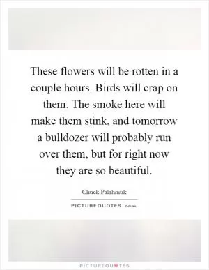 These flowers will be rotten in a couple hours. Birds will crap on them. The smoke here will make them stink, and tomorrow a bulldozer will probably run over them, but for right now they are so beautiful Picture Quote #1