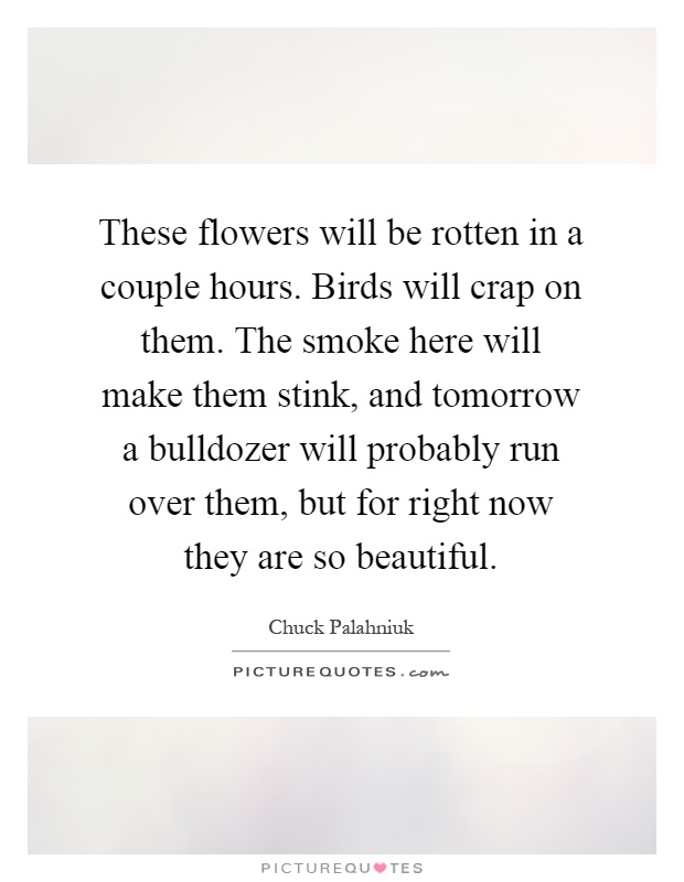 These flowers will be rotten in a couple hours. Birds will crap on them. The smoke here will make them stink, and tomorrow a bulldozer will probably run over them, but for right now they are so beautiful Picture Quote #1