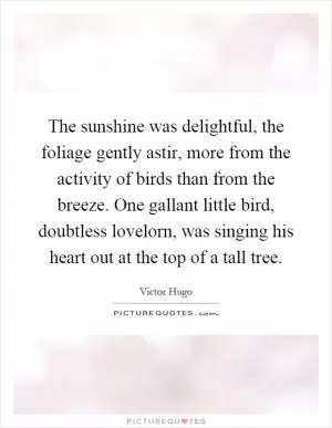 The sunshine was delightful, the foliage gently astir, more from the activity of birds than from the breeze. One gallant little bird, doubtless lovelorn, was singing his heart out at the top of a tall tree Picture Quote #1