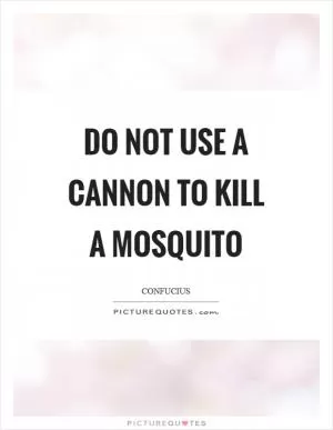 Do not use a cannon to kill a mosquito Picture Quote #1