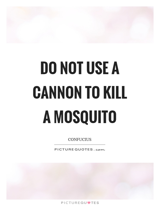 Do not use a cannon to kill a mosquito Picture Quote #1
