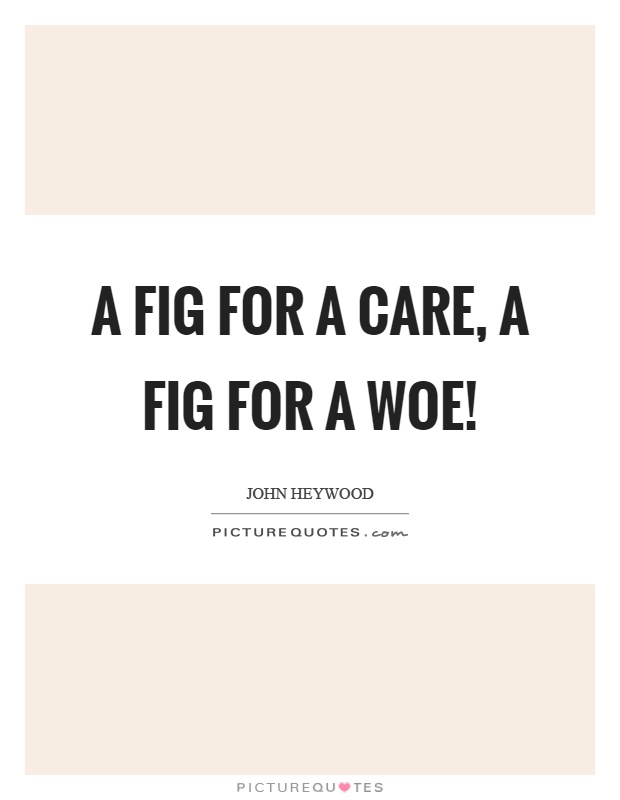 A fig for a care, a fig for a woe! Picture Quote #1