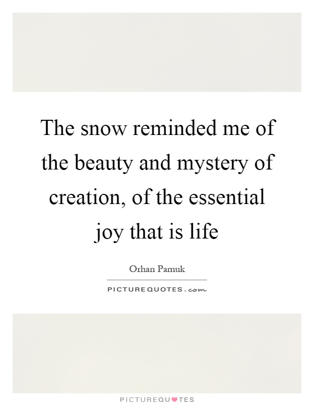 The snow reminded me of the beauty and mystery of creation, of the essential joy that is life Picture Quote #1