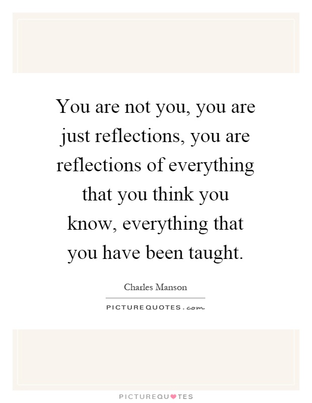 You are not you, you are just reflections, you are reflections of everything that you think you know, everything that you have been taught Picture Quote #1