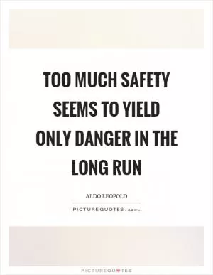 Too much safety seems to yield only danger in the long run Picture Quote #1