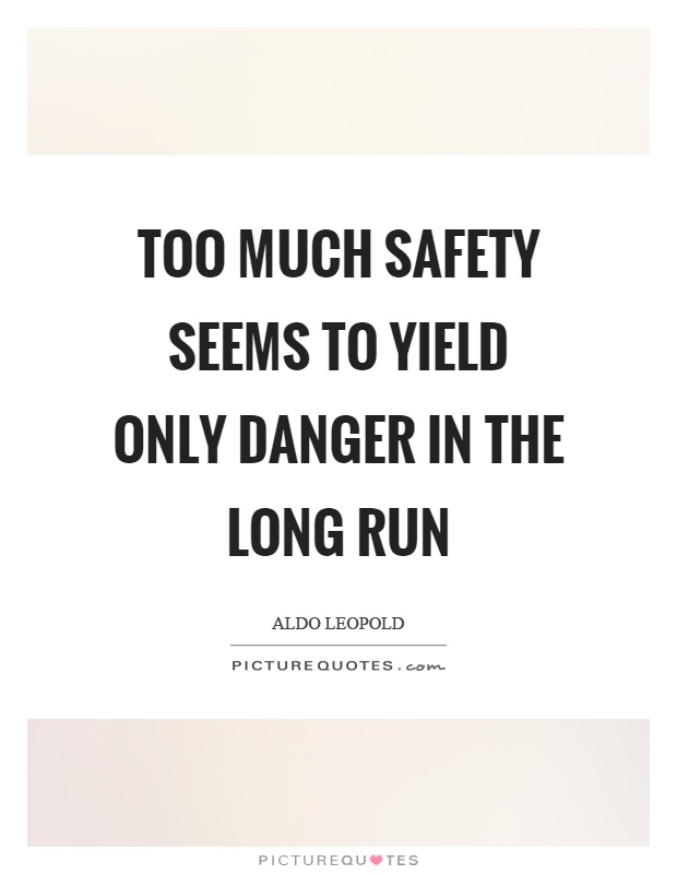 Too much safety seems to yield only danger in the long run Picture Quote #1