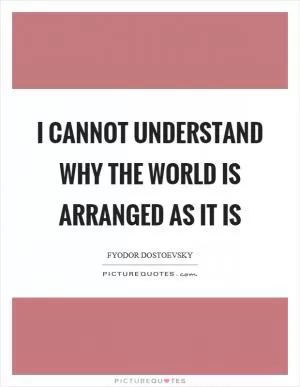 I cannot understand why the world is arranged as it is Picture Quote #1