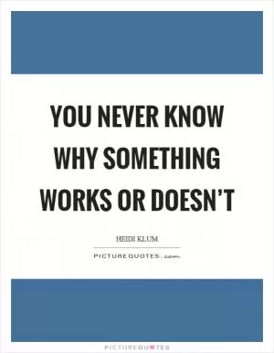 You never know why something works or doesn’t Picture Quote #1