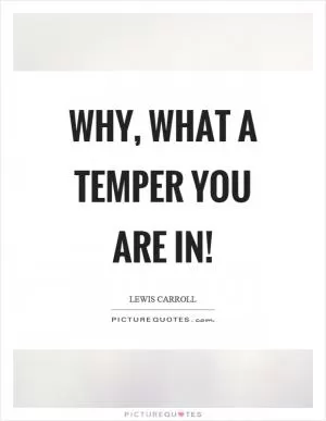 Why, what a temper you are in! Picture Quote #1