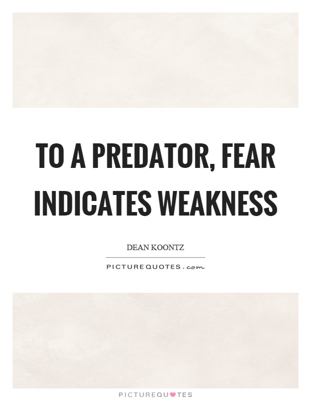 To a predator, fear indicates weakness Picture Quote #1