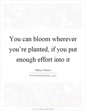 You can bloom wherever you’re planted, if you put enough effort into it Picture Quote #1
