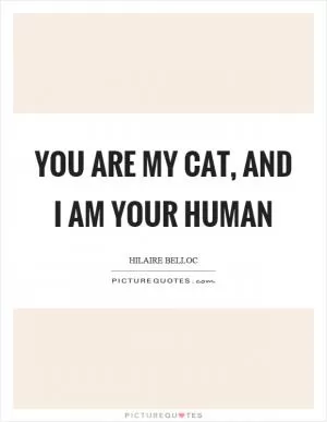 You are my cat, and I am your human Picture Quote #1