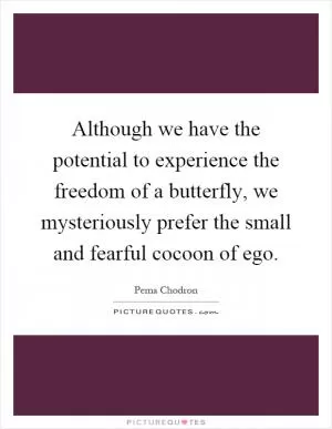 Although we have the potential to experience the freedom of a butterfly, we mysteriously prefer the small and fearful cocoon of ego Picture Quote #1
