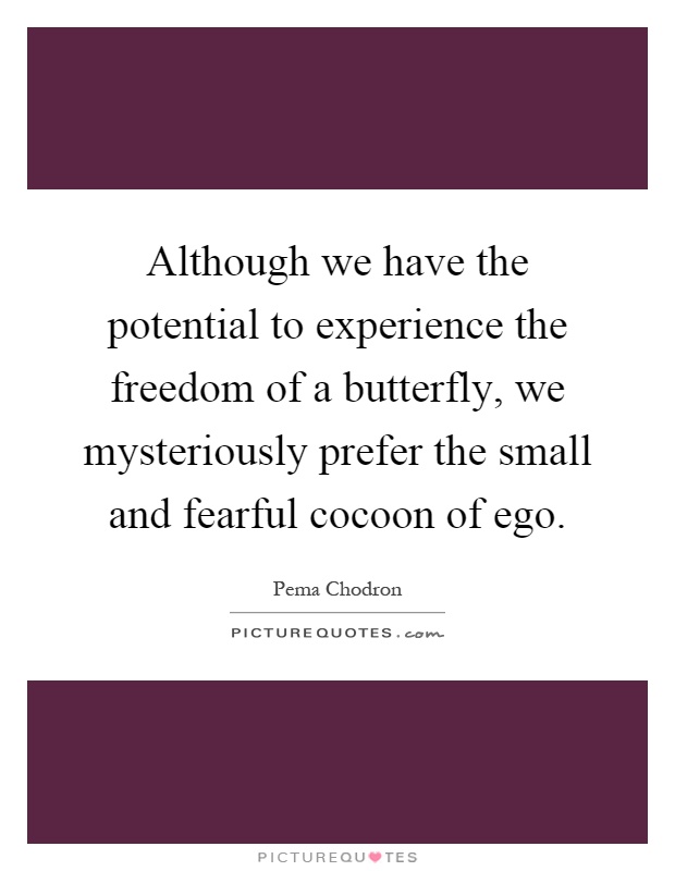 Although we have the potential to experience the freedom of a butterfly, we mysteriously prefer the small and fearful cocoon of ego Picture Quote #1