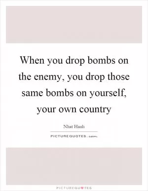 When you drop bombs on the enemy, you drop those same bombs on yourself, your own country Picture Quote #1