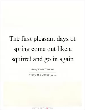 The first pleasant days of spring come out like a squirrel and go in again Picture Quote #1