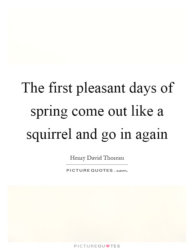 The first pleasant days of spring come out like a squirrel and go in again Picture Quote #1