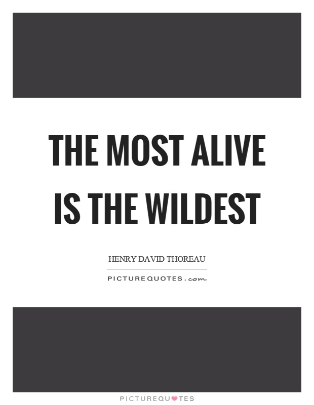 The most alive is the wildest Picture Quote #1