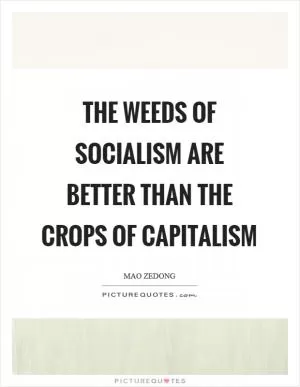 The weeds of socialism are better than the crops of capitalism Picture Quote #1