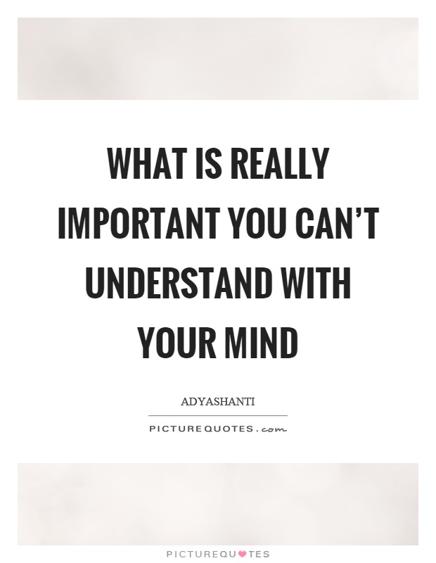 What is really important you can't understand with your mind Picture Quote #1