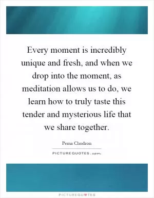 Every moment is incredibly unique and fresh, and when we drop into the moment, as meditation allows us to do, we learn how to truly taste this tender and mysterious life that we share together Picture Quote #1