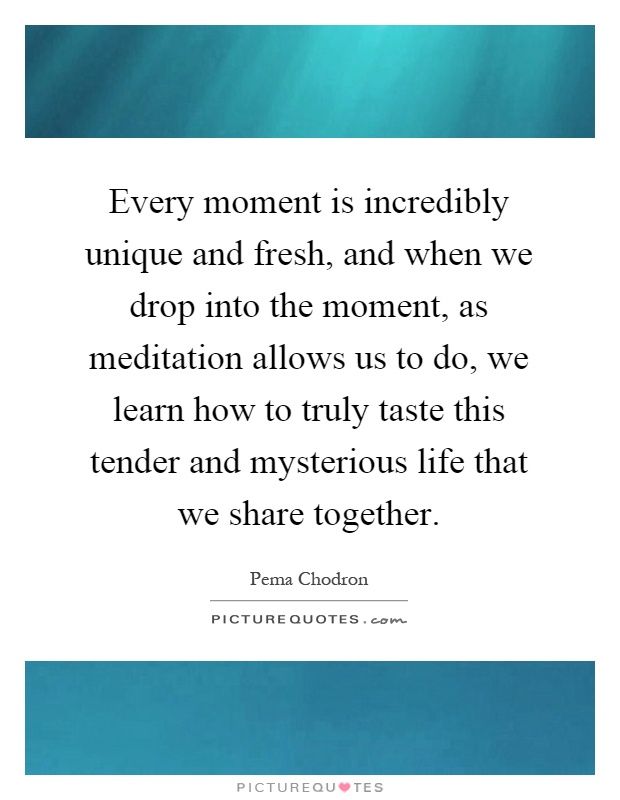 Every moment is incredibly unique and fresh, and when we drop into the moment, as meditation allows us to do, we learn how to truly taste this tender and mysterious life that we share together Picture Quote #1