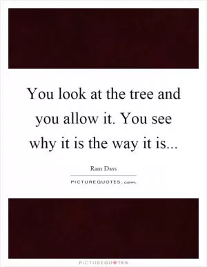You look at the tree and you allow it. You see why it is the way it is Picture Quote #1