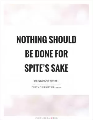 Nothing should be done for spite’s sake Picture Quote #1