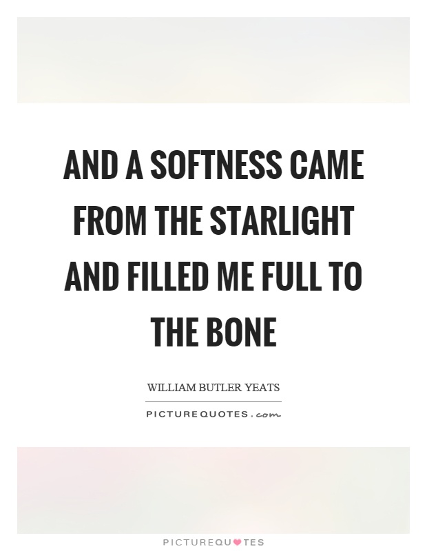And a softness came from the starlight and filled me full to the bone Picture Quote #1
