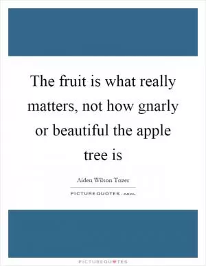 The fruit is what really matters, not how gnarly or beautiful the apple tree is Picture Quote #1