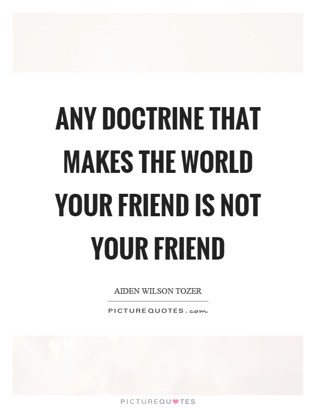 Any doctrine that makes the world your friend is not your friend Picture Quote #1