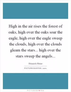 High in the air rises the forest of oaks, high over the oaks soar the eagle, high over the eagle sweep the clouds, high over the clouds gleam the stars... high over the stars sweep the angels Picture Quote #1