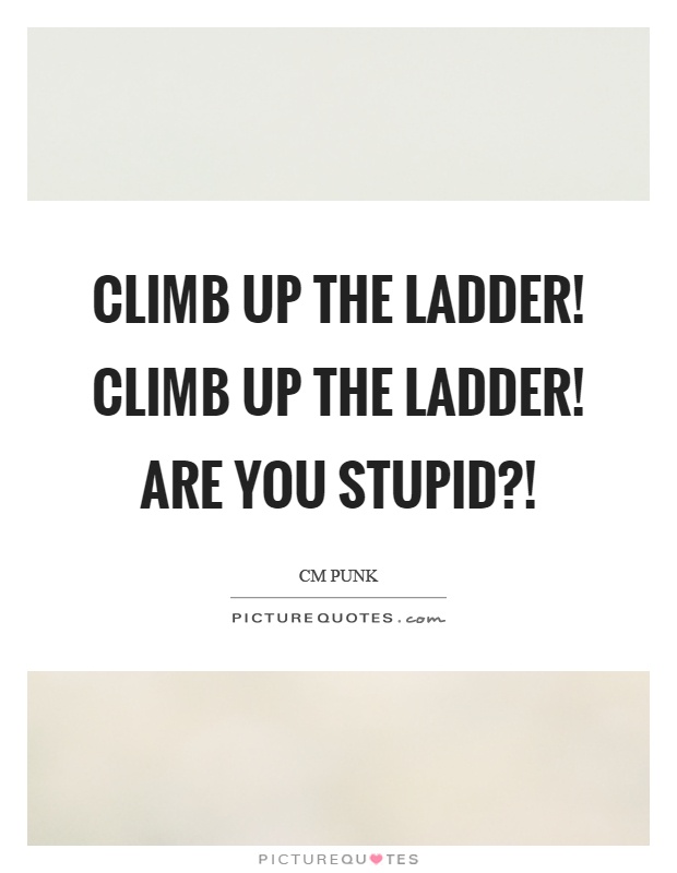 Climb up the ladder! Climb up the ladder! Are you stupid?! Picture Quote #1