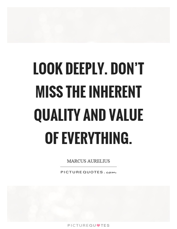 Look deeply. Don't miss the inherent quality and value of everything Picture Quote #1