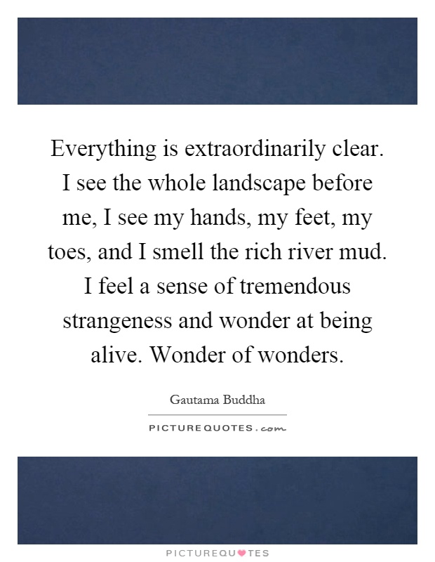 Everything is extraordinarily clear. I see the whole landscape before me, I see my hands, my feet, my toes, and I smell the rich river mud. I feel a sense of tremendous strangeness and wonder at being alive. Wonder of wonders Picture Quote #1