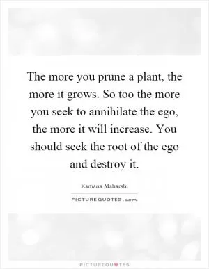 The more you prune a plant, the more it grows. So too the more you seek to annihilate the ego, the more it will increase. You should seek the root of the ego and destroy it Picture Quote #1