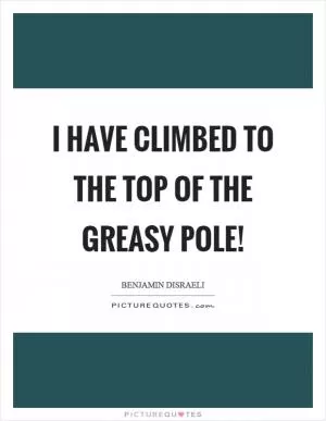 I have climbed to the top of the greasy pole! Picture Quote #1