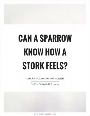 Can a sparrow know how a stork feels? Picture Quote #1