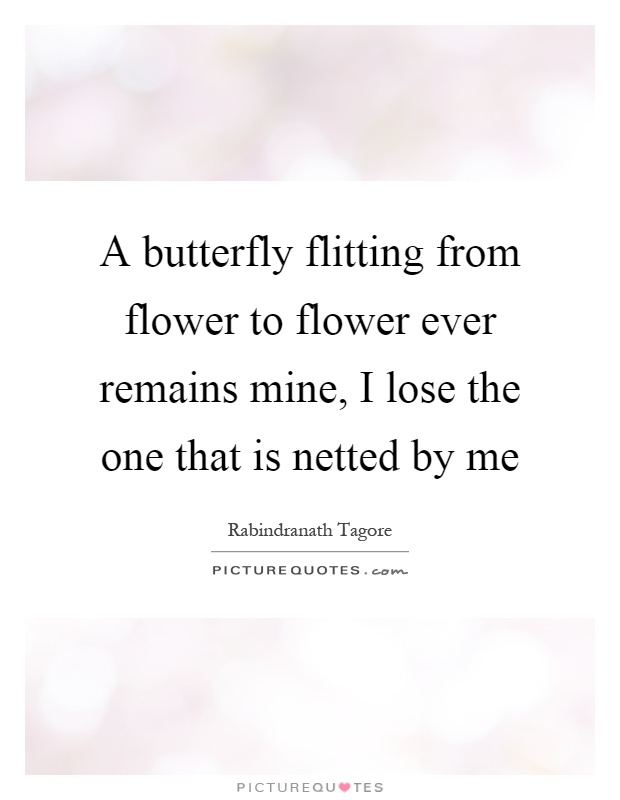 A butterfly flitting from flower to flower ever remains mine, I lose the one that is netted by me Picture Quote #1