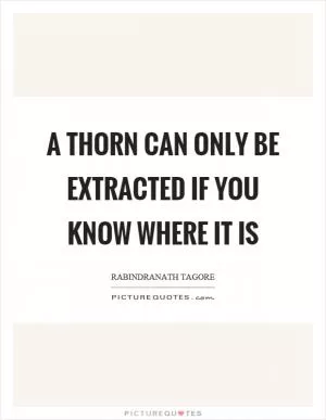 A thorn can only be extracted if you know where it is Picture Quote #1