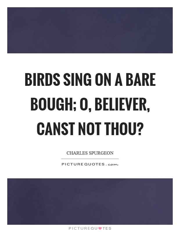 Birds sing on a bare bough; O, believer, canst not thou? Picture Quote #1
