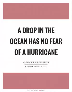 A drop in the ocean has no fear of a hurricane Picture Quote #1
