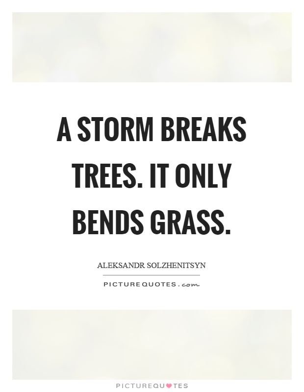 A storm breaks trees. It only bends grass Picture Quote #1