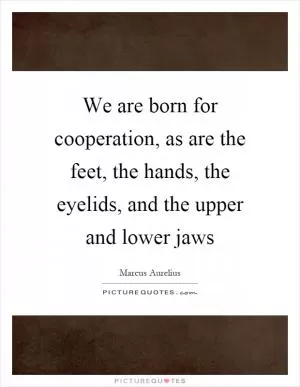 We are born for cooperation, as are the feet, the hands, the eyelids, and the upper and lower jaws Picture Quote #1