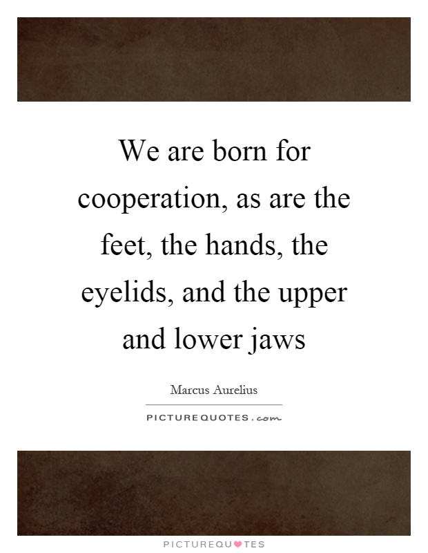We are born for cooperation, as are the feet, the hands, the eyelids, and the upper and lower jaws Picture Quote #1