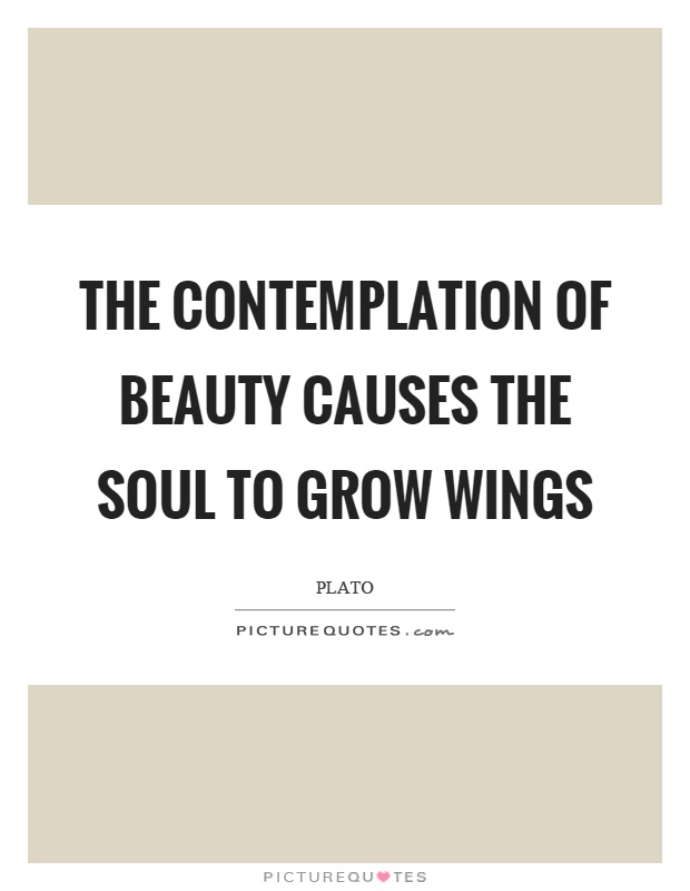 The contemplation of beauty causes the soul to grow wings Picture Quote #1