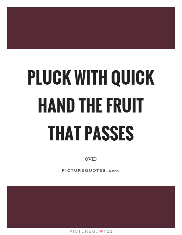 Pluck with quick hand the fruit that passes Picture Quote #1
