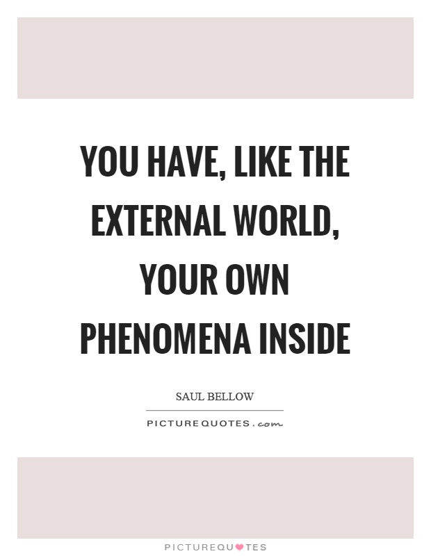 You have, like the external world, your own phenomena inside Picture Quote #1